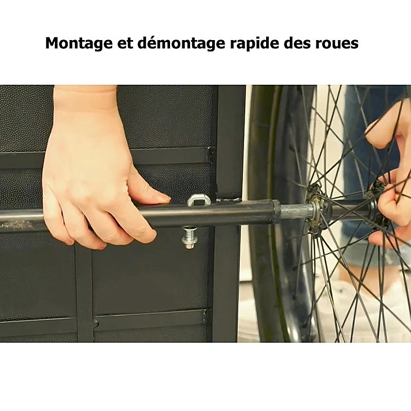 Remorque Cargo Bike Original Beach 7 Remorque Cargo Bike Original Beach – Image 7