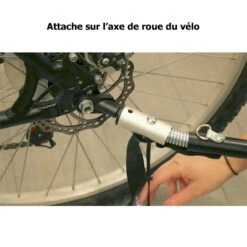 Remorque Cargo Bike Original Beach 17 Remorque Cargo Bike Original Beach -Fun Eco Bikes Boutique remorque cargo bike original beach 8