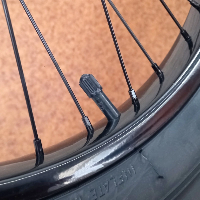 Remorque Vélo Utilitaire Cargo Large Roue 20x3.00 - Charge 80 Kg 6 Remorque Vélo Utilitaire Cargo Large Roue 20x3.00 - Charge 80 Kg – Image 6